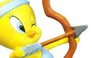 Tournoi des poussins