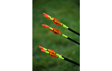 Competition en salle MAC 16 janvier 2022